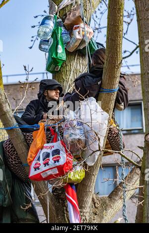 Demonstranten besetzen einen schwarzen Pappelbaum in York Gardens, Battersea, um ihn vor dem Abschneiden zu schützen, damit ein elektrisches Kabel verlegt werden kann Stockfoto