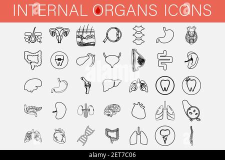 Satz von Ikonen der inneren Organe und Teile des Menschen. Stock Vektor