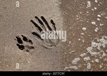 Der Abdruck einer menschlichen Hand und einer Hundepfote am Sandstrand. Die besten Freunde des Hundemannes sind immer da. Ein Fußabdruck im Sand. Stockfoto