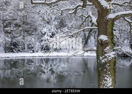 Winterlandschaft, Winterwaldbäume mit Frost und Schnee bedeckt, gefrorener See im Winterwald. Stockfoto