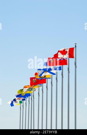 Flaggen von Kanada auf Tall Flag Polen weht in der Breeze, Ottawa, Ontario, Kanada Stockfoto