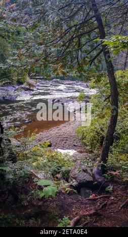 Provinz Quebec, Kanada, September 2019, Blick auf einen Fluss im La Mauricie Nationalpark Stockfoto