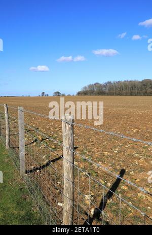 Ackerland rund um die North Downs, in Kent, bei Wintersonne, in Großbritannien Stockfoto