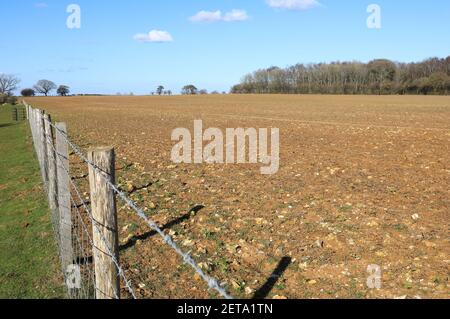 Ackerland rund um die North Downs, in Kent, bei Wintersonne, in Großbritannien Stockfoto