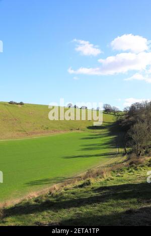 Ackerland rund um die North Downs, in Kent, bei Wintersonne, in Großbritannien Stockfoto