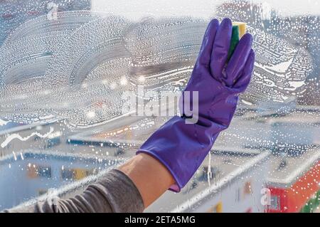 Damenhänden in blauen Handschuhen, die ein staubiges Fenster mit einem Schwamm waschen. Stockfoto