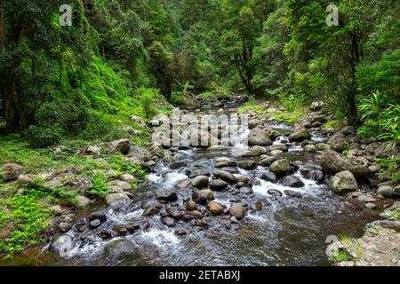 Creek Crossings in Canungra Stockfoto