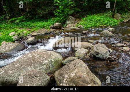 Creek Crossings in Canungra Stockfoto