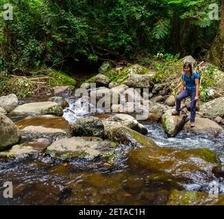 Creek Crossings in Canungra Stockfoto