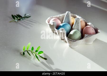 Osterfeiertagskonzept. Pastellfarben bemalte Eier in einer Pappschachtel und mit l frischen grünen Blättern auf weißem Hintergrund. Natürliches Licht und Schatten Stockfoto