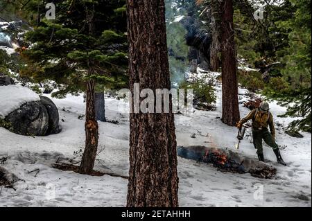 South Lake Tahoe, Kalifornien, USA. Februar 2021, 11th. Feuerwehrmann Mark Waite verwendet eine Tropflampe, um am Donnerstag, den 11. Februar 2021, bei einer vorgeschriebenen Verbrennung im Van Sickle Bi-State Park in South Lake Tahoe ein Feuer zu setzen. Quelle: Renée C. Byer/ZUMA Wire/Alamy Live News Stockfoto