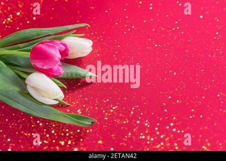 Rosa und weiße Tulpen Blume auf rotem Hintergrund mit goldenen Lichtern. Romantische Karte für Frauen Tag, Muttertag, Valentinstag. Flach liegend mit Copyspace Stockfoto