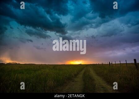 Stürmischer Himmel in der Landschaft von Pampas, Provinz La Pampa, Patagonien, Argentinien. Stockfoto