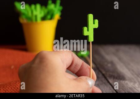 Eine Person, die einen kaktusförmigen Zahnstocher hält Stockfoto