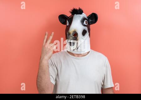 Person, die als Kuh verkleidet ist und die Zahl zwei zählt Seine Finger auf rosa Hintergrund Stockfoto