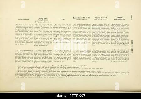 Petit de Julleville - Histoire de la langue et de la littérature française, t. 1 vom 1896, S. 116. Stockfoto