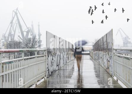 GDAN, POLEN - 13. Nov 2018: Ein einsamer Mann mit einem Regenschirm, der auf einer Fußgängerbrücke in Gdask Shipyard Station läuft, Werftkrane im Hintergrund, ein Horizont Stockfoto