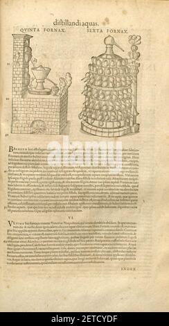 Petri Andreae Matthioli ... Opera quae extant omnia, hoc est, Commentarii in VI. Libros Pedacii Dioscoridis Anazarbei De Medica materia Stockfoto