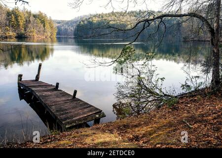 Alte hölzerne Pier am Lake Julia - DuPont State Recreational Forest - Cedar Mountain, North Carolina, USA Stockfoto