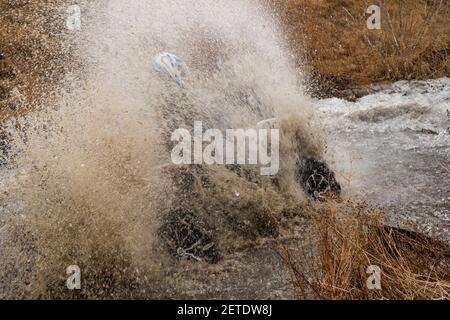 Der Mann auf dem ATV kreuzt einen Stream. Touristischen Spaziergänge auf einem cross-country Gelände. Stockfoto