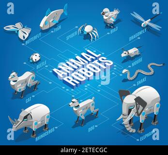 Tierroboter isometrisches Flussdiagramm mit automatisierten Haustieren Begleiter ferngesteuert Vögel Libellen Drohnen Insekten Geräte Vektor-Illustration Stock Vektor