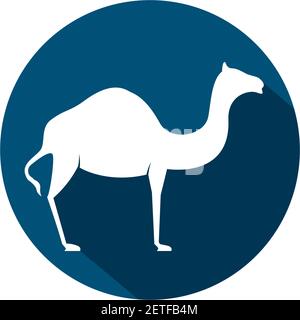 Camel Logo Vorlage Vektor Symbol Illustration Design Stock Vektor