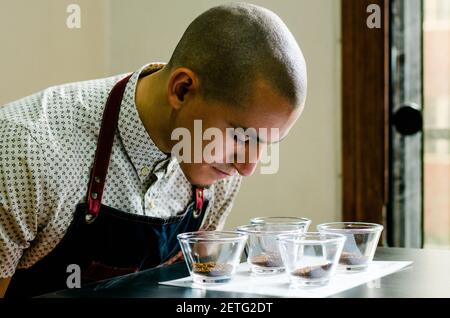 Der professionelle Barista testet den Geruch eines neuen Kaffees Stockfoto