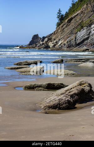 Cape Falcon beherbergt Smuggler Cove und Short Sand Beach Die Küste von Oregon Stockfoto