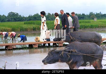 Foto von Präsident Lyndon Johnson, Lady Bird Johnson, Präsident Ferdinand Marcos, Imelda Marcos und anderen Touren durch die Los Banos Reisfelder in der Nähe von Manila, Philippinen. Stockfoto