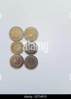 Münzen, Geld, Zloty auf Weiß. Hintergrund mit Copyspace Stockfoto