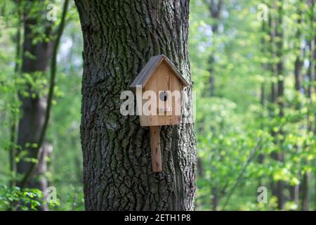 Ein Vogelfutterhäuschen in Form eines Hauses mit einem Holzdach hängt an einem Baum. Vogelpflege. Holzhaus Nahaufnahme mit Copyspace Stockfoto