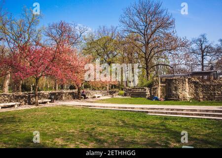 Die Ruinen eines alten Dominikanerklosters im zentralen Park auf der Margareteninsel in Budapest, Ungarn im Frühjahr Stockfoto