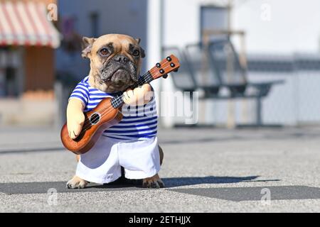 Französischer Bulldogge Hund verkleidet mit Street-Perfomer-Musiker-Kostüm Tragen gestreiftes Hemd und gefälschte Arme mit einer Spielzeuggitarre Stehen in der Stadt Straße o Stockfoto