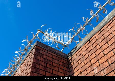 Rote Ziegelwand mit Anti-Diebstahl-Spikes entlang der ganzen Spitze. Stockfoto