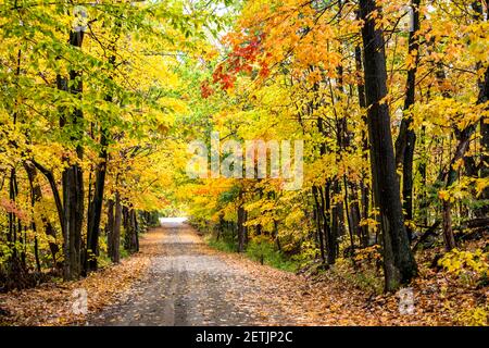 Landschaft mit einer Straße durch einen Laubwald mit Ahornholz Gelb-rot fallendes Laub lädt Reisende und Touristen nach Vermont Um das b zu genießen Stockfoto