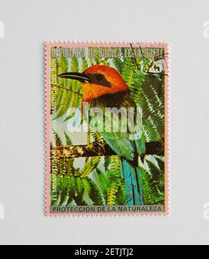 01.03.2021 Istanbul Türkei. Guinea Republik Briefmarke. Um 1972. Bird Serie Momo Stockfoto