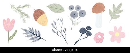 Set von Herbst Natur Elemente in einem Aquarell-Stil. Federn, Steine, Beeren, Eicheln, Blätter Stockfoto