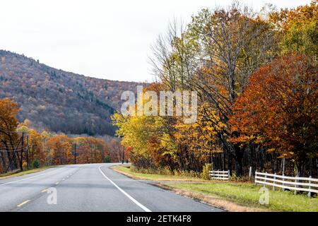 Faszinierende und bunte verwinkelte Vermont Highway Straße mit roten gesäumt Und gelbe Herbsthornbäume laden den Reisenden auf ein unvergessliches Reise entlang t Stockfoto