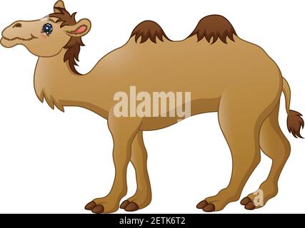 Vektor-Illustration von Cute Kamel Cartoon Stock Vektor