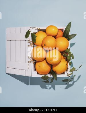 Frische Zitrusfrüchte mit Blättern in einer Holzkiste mit dunklen Schatten auf blauem Hintergrund. Gesunde Früchte der Saison. Lebensmittel reich an Vitamin C. Umweltfreundlich f Stockfoto