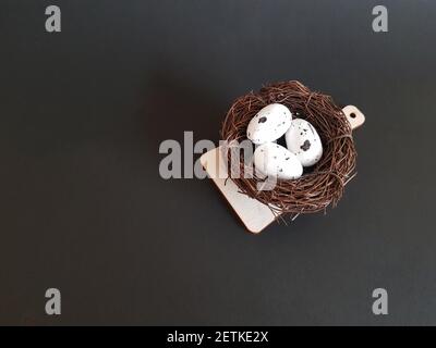 Eier in einem Nest von Zweigen auf einem schwarzen isoliert Hintergrund Stockfoto
