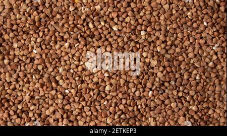Buchweizen, Buchweizen Hintergrund, Buchweizen Textur, lose Buchweizen. Modell Stockfoto