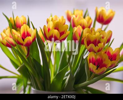 Berlin, Deutschland. März 2021, 01st. Ein Bündel Tulpen steht in einer Vase. Quelle: Soeren Stache/dpa-Zentralbild/ZB/dpa/Alamy Live News Stockfoto