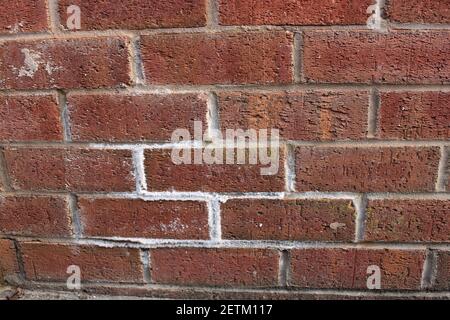 Aufblühung weiße pulverige Ablagerung von Salzen auf Mauerwerk Stockfoto