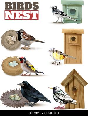 Vögel Nest Set mit editierbarem Text und realistischen Bildern von Vögel mit wilden Nestern und Vogelhäuser Vektor-Illustration Stock Vektor