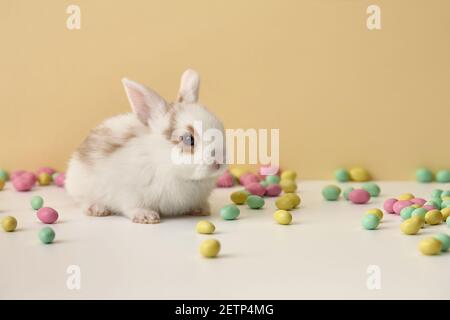 Süßes weißes Osterhase Kaninchen mit bunten Süßigkeiten auf beige Hintergrund Stockfoto