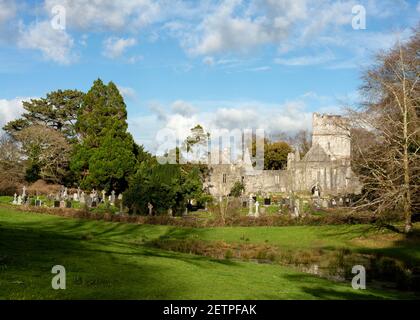 Muckross Abbey und Friedhof im Killarney National Park, County Kerry, Irland Stockfoto