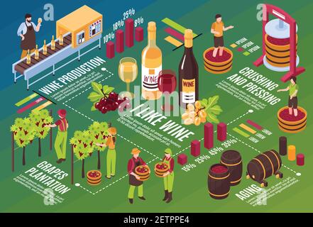 Weingut isometrische Flussdiagramm Getränke Stufen Produktion von Weinberg bis Wein Alterung auf grünem Hintergrund horizontale Vektordarstellung Stock Vektor