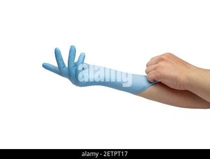 Die Hand zieht blaue medizinische Einweghandschuhe an, die auf weißem Hintergrund isoliert sind. Stockfoto