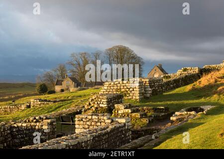 Das Innere von Housesteads Roman Fort, Hadrian's Wall, Northumberland, Großbritannien Stockfoto